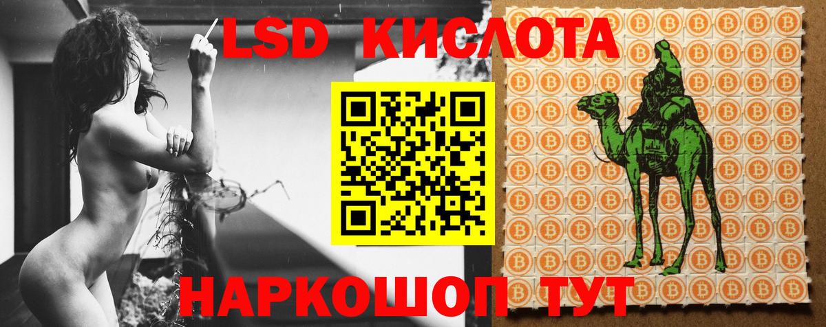 Зерноград  Лсд 25 экстази кислота  Вход с VPN 